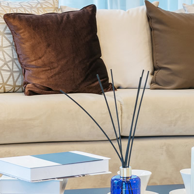 Features & Amenities